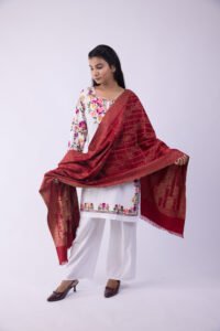 Mix Woollen Shawl – Multicolour All-Over Woven Design